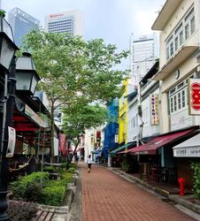Boat Quay Conservation Area (D1), Shop House #572954771